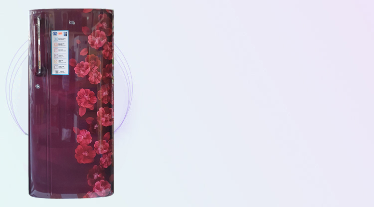 cg-refrigerator